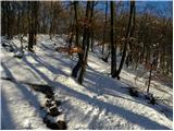 Veliko Trebeljevo - Obolno